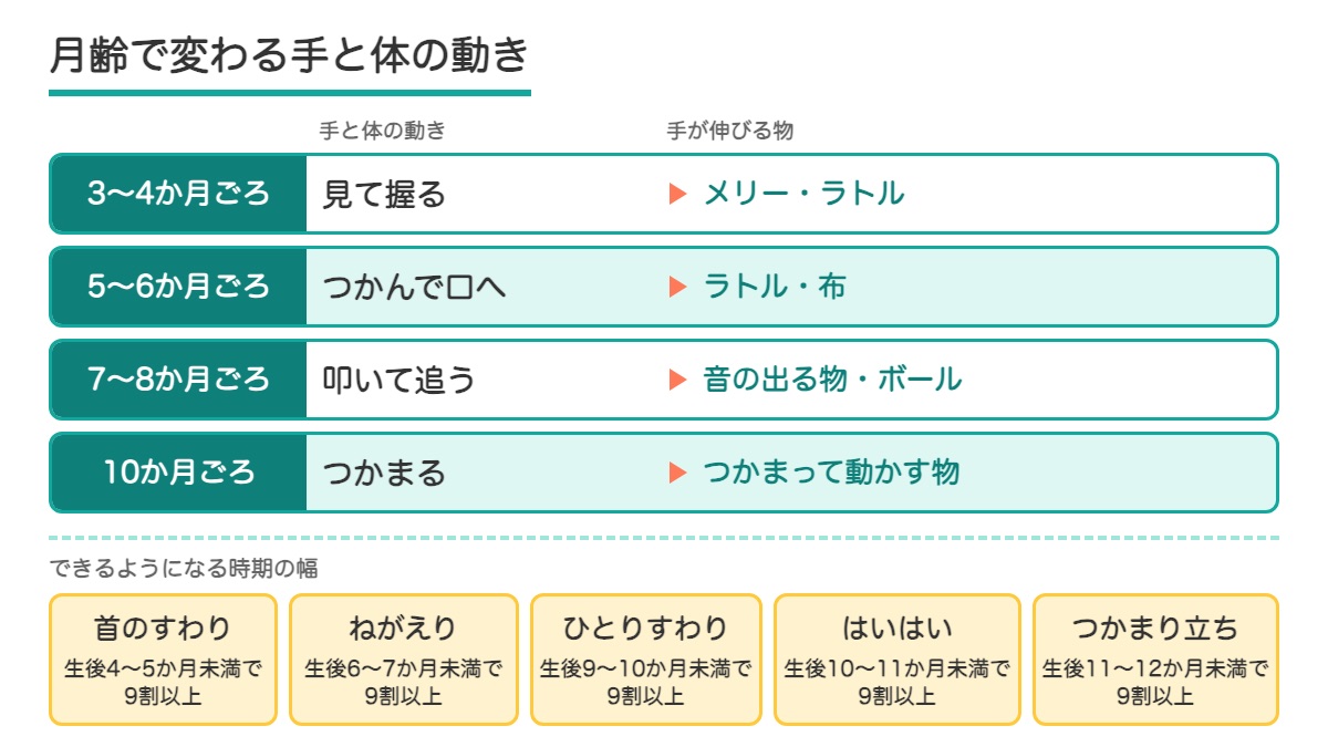 月齢ごとの手と体の動きと手が伸びるおもちゃの帯と首のすわりからつかまり立ちまでの時期の幅